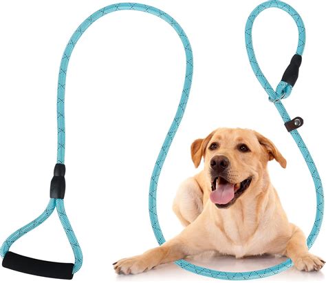 are chokers inspired by dog leashes